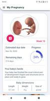 پوستر My Pregnancy