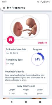My Pregnancy 海报