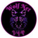 WOLF NET VIP - Fast Speed APK