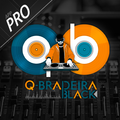 Q-Bradeira Black