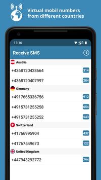 Receive SMS 截图 1