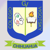 Colegio Vigotsky APK