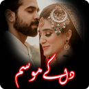 Dil K Mousam: Urdu Novel APK