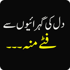 Icona Funny Urdu Status