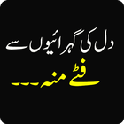 ikon Funny Urdu Status