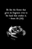 Imam Ali R.A Quotes and Saying capture d'écran 3