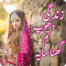 Zindagi Dhoop Tm Ghana Saya: Urdu Novel APK