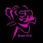 Rose Vpn - RD icône