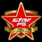 fsvpn star gold ícone