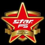 fsvpn star gold