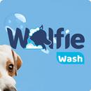 Pet Wolfie APK