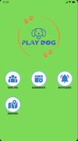 PLAYDOG poster