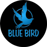 BLUE BIRD PRO - Secure VPN