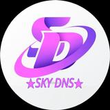 SKY DNS
