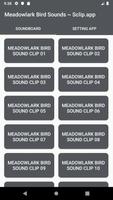 Meadowlark Bird Sound Collecti poster