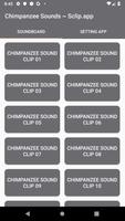 Chimpanzee Sound Collections ~ Sclip.app Affiche