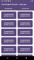 Hummingbird Sound Collections  Affiche