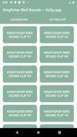 Kingfisher Bird Sound Collections ~ Sclip.app Affiche