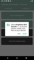 Kingfisher Bird Sound Collections ~ Sclip.app capture d'écran 1