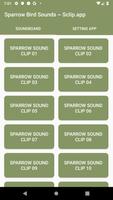 Sparrow Bird Sound Collections ~ Sclip.app পোস্টার