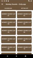 Monkey Sound Collections ~ Scl Affiche