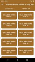 Buttonquail Bird Call Sounds ~ Sclip.app Affiche