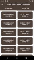 Cricket insect Sound Collectio Affiche