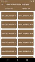 Quail Bird Sounds ~ Sclip.app Affiche