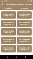 Rhesus Monkey Sound Collections ~ Sclip.app 海報