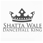 Shatta Wale Music icono