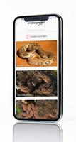 Snakepedia 截图 3