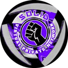 SOLID VPN PRO icon