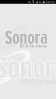 Poster Radio Sonora 95.9 FM