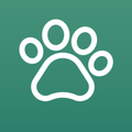 ”Fetcher: Scraper & Downloader