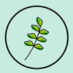 Tyme - Invoicing, Time & Call  icon