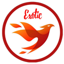 Exotic Fast VIP APK