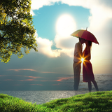 آیکون‌ Nature Photo Frame