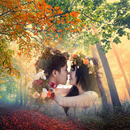 APK Banner Photo Frame
