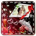Engagement Photo Frame