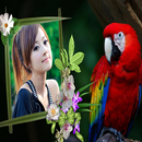 Birds Photo Frames APK