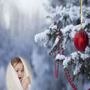 Snow Fall Photo Frame aplikacja