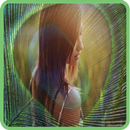 Peacock Feather Photo Frame APK