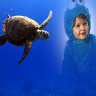 Turtle Photo Frame icon