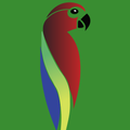 Tooty توتي