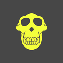 Crazy Monkey APK