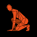 S&C APK