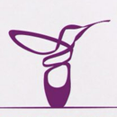 Kolibri Tanzschule APK
