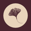 Studio Balance APK