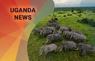 Uganda News capture d'écran 1