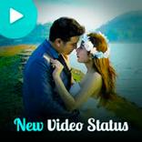 حالات فيديو